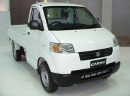 Suzuki Super Carry Pro 2018 - Bán Suzuki Carry Pro 2018 nhập khẩu Indonesia giá tốt, lh: 0939298528 giá 312 triệu tại An Giang