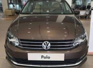 Volkswagen Polo  1.6AT 2018 - Cần bán xe Volkswagen Polo 1.6AT đời 2018, màu nâu, nhập khẩu giá 599 triệu tại Đồng Nai