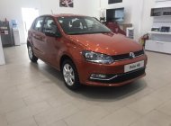 Volkswagen Polo 2016 - Tôi cần bán xe 5 chỗ nhập Đức, xe mới giá chỉ 599tr giá 599 triệu tại Đồng Nai