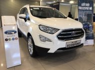 Ford EcoSport  Titanium 1.0L AT 2018 - Bán Ford EcoSport Titanium 1.0L AT, 2018, màu trắng, tặng bảo hiểm thân vỏ, hỗ trợ vay 90% giá xe, thủ tục nhanh gọn giá 689 triệu tại Lạng Sơn