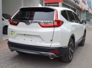 Honda CR V 2018 - Bán xe Honda CR V sản xuất 2018, màu trắng, xe nhập, giá tốt  giá 973 triệu tại Kiên Giang