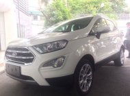 Ford EcoSport 2018 - Bán xe Ecosport gia ngay giá thấp nhất thị trường, ưu đãi ngân hàng giá 625 triệu tại Hưng Yên