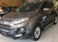 Ford EcoSport   Titanium 1.5L AT  2016 - Bán Ford EcoSport Titanium 1.5L AT đời 2016, màu xám  giá 565 triệu tại Hà Giang