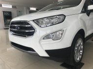 Ford EcoSport Titanium 1.5L AT 2018 - Bán Ford EcoSport Titanium 1.5 năm 2018, màu trắng tại Ninh Bình, LH 0989.022.295 giá 648 triệu tại Ninh Bình