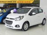 Chevrolet Spark Van 2018 - Bán xe Chevrolet Spark Van đời 2018, màu trắng giá 259 triệu tại Quảng Trị