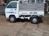 Suzuki Super Carry Truck   2005 - Bán xe Suzuki Super Carry Truck năm 2005, màu trắng, nhập khẩu nguyên chiếc giá 95 triệu tại Gia Lai