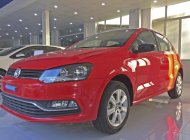 Volkswagen Polo 2018 - Bán Volkswagen Polo Hatchback nhập khẩu nguyên chiếc giá 695 triệu tại Hải Phòng