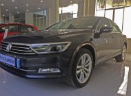 Volkswagen Passat BlueMotion 2018 - Bán Volkswagen Passat BlueMotion nhập khẩu nguyên chiếc từ Đức giá 1 tỷ 420 tr tại Hải Phòng