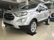 Ford EcoSport Titanium 1.5 2018 - Bán Ford EcoSport Titanium 1.5 sản xuất năm 2018. LH 0989022295 tại Bắc Kạn giá 610 triệu tại Bắc Kạn