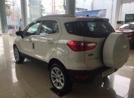 Ford EcoSport Titanium 1.0 2018 - Bán Ford Ecosport 1.0L AT 2018 tại Cao Bằng, khuyến mãi lớn, đủ màu, hỗ trợ vay 80%. L/h: 0989022295 giá 650 triệu tại Cao Bằng