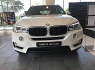 BMW X5 2018 - Bán xe BMW X5 giá tốt, giao xe ngay, hỗ trợ trả góp giá 3 tỷ 599 tr tại Tp.HCM