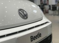 Volkswagen New Beetle 2018 - Volkswagen Beetle Dune nhập khẩu, hỗ trợ vay 80% giá 1 tỷ 499 tr tại Tp.HCM