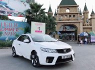 Kia Koup 2010 - Cần bán Kia Koup sản xuất năm 2010, màu trắng, xe nhập, 415 triệu giá 415 triệu tại Hà Nội