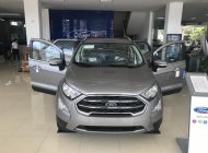 Ford EcoSport 1.5L AT Titanium 2018 - Bán Ford EcoSport Titanium sản xuất 2018, giá cạnh tranh - LH 0987987588 tại Điện Biên giá 610 triệu tại Điện Biên