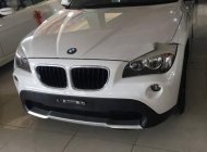 BMW X1 2010 - Bán ô tô BMW X1 2010 Tự động sản xuất 2010, 615 triệu giá 615 triệu tại BR-Vũng Tàu