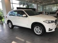 BMW X5 2018 - Bán xe BMW X5 đi tết 2019 với nhiều ưu đãi giá 3 tỷ 599 tr tại Tp.HCM