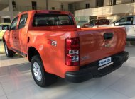 Chevrolet Colorado 2018 - Bán ô tô Chevrolet Colorado HC Country 2.5L 2018, 2 cầu, nhập khẩu, sẵn xe, giao ngay, lh 0904016692 giá 789 triệu tại Phú Thọ