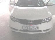 Kia Forte EX 1.6 MT 2013 - Bán Kia Forte EX 1.6 MT đời 2013, màu trắng, giá 375tr giá 375 triệu tại Nam Định