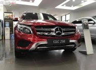 Mercedes-Benz GLK Class GLC 250 2018 - Bán Mercedes GLC 250 2019, màu đỏ, hoàn toàn mới giá 1 tỷ 939 tr tại Hà Nội