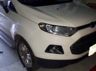 Ford EcoSport 1.5L Titanium 2017 - Bán ô tô Ford EcoSport 1.5L Titanium năm 2017, màu trắng chính chủ, giá chỉ 500 triệu giá 500 triệu tại Đồng Tháp