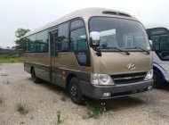 Hyundai County   2019 - Bán Hyundai County sản xuất 2019, hai màu, liên hệ 0969852916 giá 1 tỷ 300 tr tại Cần Thơ