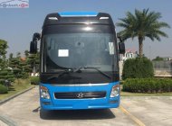 Hyundai Universe Premium 410PS 2019 - Bán Hyundai Universe Premium 410PS sản xuất 2019, màu xanh lam giá 3 tỷ 690 tr tại Đà Nẵng