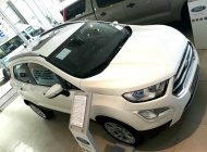 Ford EcoSport Titanium 1.5L 2019 - Bán Ford EcoSport Titanium 1.5L đời 2019, màu trắng, giá sốc cuối năm giá 590 triệu tại Vĩnh Long