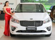 Kia Sedona   Platinum D 2019 - Cần bán Kia Sedona Platinum D 2019, màu trắng giá 1 tỷ 209 tr tại Tiền Giang