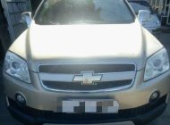 Chevrolet Captiva   LT 2007 - Bán Chevrolet Captiva LT đời 2007, màu vàng, giá 268tr giá 268 triệu tại Vĩnh Long