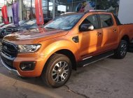 Ford Ranger Wildtrak 2018 - Bán Ford Ranger Wildtrak sản xuất năm 2018, xe nhập giá 843 triệu tại Bến Tre