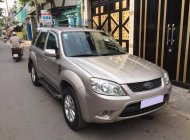 Ford Escape XLS 2010 - Gia đình cần bán Escape XLS 2010, số tự động, màu bạc giá 387 triệu tại Tp.HCM