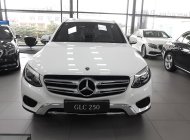 Mercedes-Benz Smart GLC 200   2019 - Bán ô tô Mercedes GLC 200 2019 - Giá tốt nhất thị trường  giá 1 tỷ 669 tr tại Hà Nội