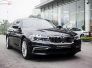 BMW 5 Series 530i 2019 - Bán BMW 530i All New G30, màu đen, nội thất đen, nhập khẩu, xe giao ngay với đầy đủ hồ sơ giá 3 tỷ 69 tr tại Nghệ An