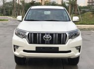 Toyota Land Cruiser Prado VX 2019 - Bán Toyota Land Cruiser Prado mới 100%, NK Nhật Bản, giá tốt, LH 0942.456.838 giá 2 tỷ 320 tr tại Hòa Bình