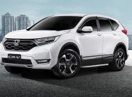 Honda CR V 2019 - Bán ô tô Honda CR V đời 2019, xe nhập giá 983 triệu tại Quảng Trị