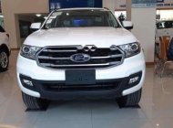 Ford Everest   2019 - Bán Ford Everest 2019, màu trắng, nhập khẩu giá 1 tỷ 22 tr tại Bắc Kạn