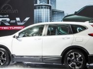 Honda CR V L 2019 - Bán Honda CRV đời 2019, nhập khẩu nguyên chiếc, mới 100%, khuyến mại ưu đãi tại honda nam định liên hệ 0973876995 giá 983 triệu tại Nam Định