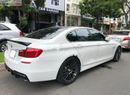 BMW 5 Series 528i 2010 - Bán BMW 5 Series 528i đời 2010, màu trắng, nhập khẩu nguyên chiếc, 980tr giá 980 triệu tại Tp.HCM