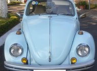 Volkswagen Beetle 1968 - Bán xe Volkswagen Beetle (con bọ cổ) đời 1500, sản xuất năm 1968 giá 250 triệu tại An Giang