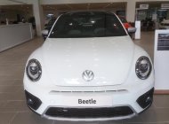 Volkswagen Beetle 2018 - Xe hơi thể thao Volkswagen - Beetle giá 1 tỷ 499 tr tại Tp.HCM