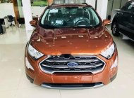 Ford EcoSport 2019 - Cần bán xe Ford EcoSport đời 2019, giá chỉ 521 triệu giá 521 triệu tại Cà Mau