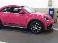 Volkswagen Beetle 2019 - Bán Volkswagen Beetle đời 2019, màu hồng, nhập khẩu giá 1 tỷ 469 tr tại Tp.HCM