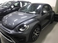 Volkswagen New Beetle 2019 - Bán Volkswagen New Beetle cao cấp đời 2019, màu xám (ghi), xe nhập giá 1 tỷ 469 tr tại Tp.HCM