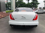 Jaguar XJ series L Portfolio 2019 - Bán ô tô Jaguar XJ series L Portfolio đời 2019, màu trắng, xe nhập giá 6 tỷ 539 tr tại Hà Nội