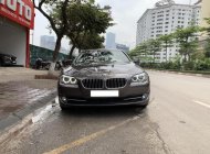 BMW 5 Series 520i 2013 - Xe BMW 5 Series 520i sản xuất 2013, màu xám, nhập khẩu giá 1 tỷ 180 tr tại Hà Nội