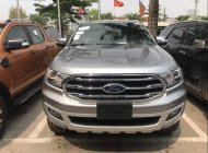 Ford Everest 2019 - Bán xe Ford Everest 2019, màu bạc, nhập khẩu nguyên chiếc giá 1 tỷ 117 tr tại Yên Bái