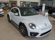 Volkswagen Beetle Dune 2018 - Bán Volkswagen Beetle Dune 2.0 TSI bản Final 2019 - Thiết kế thiên hướng thể thao, lai Crossover cá tính giá 1 tỷ 499 tr tại Tp.HCM