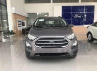 Ford EcoSport 2019 - Bán xe Ford EcoSport năm sản xuất 2019 giá 535 triệu tại Quảng Ngãi