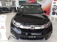 Honda CR V 1.5 G 2019 - Cần bán xe Honda CR V G năm 2019, màu đen, xe nhập giá 1 tỷ 23 tr tại Long An