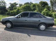 Peugeot 405 1993 - Cần bán lại xe Peugeot 405 đời 1993, nhập khẩu xe gia đình giá 40 triệu tại An Giang